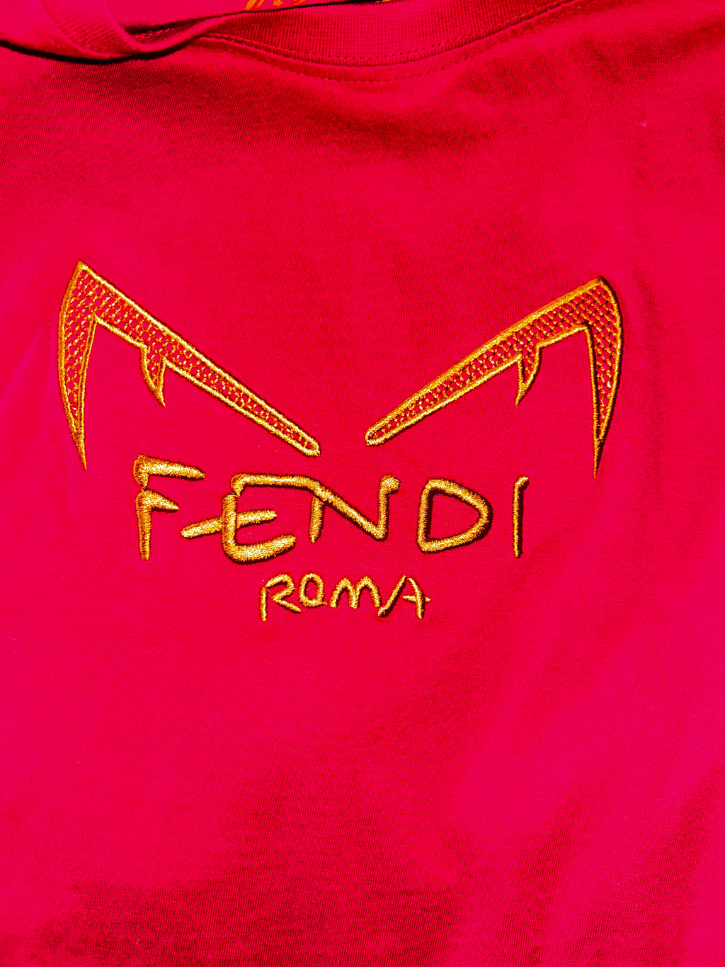Embroidered T Shirt