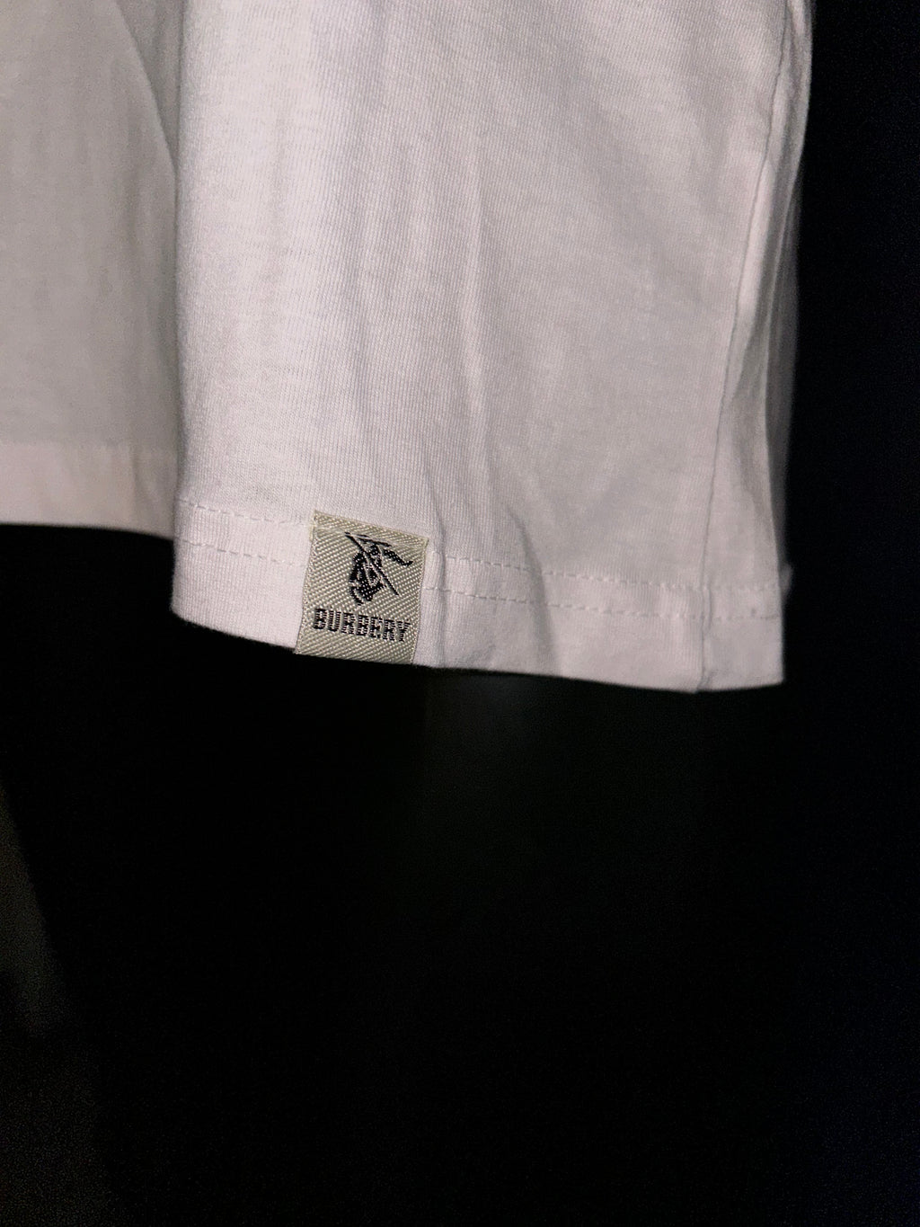 Teddy  T Shirt